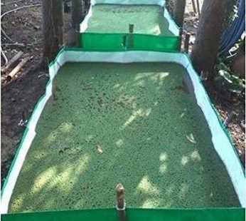 YUVAGREEN HDPE AZOLLA Bed 12′ Length x4′ Width x1′ Height (Pack of 1), Green, 12 x 4 feet