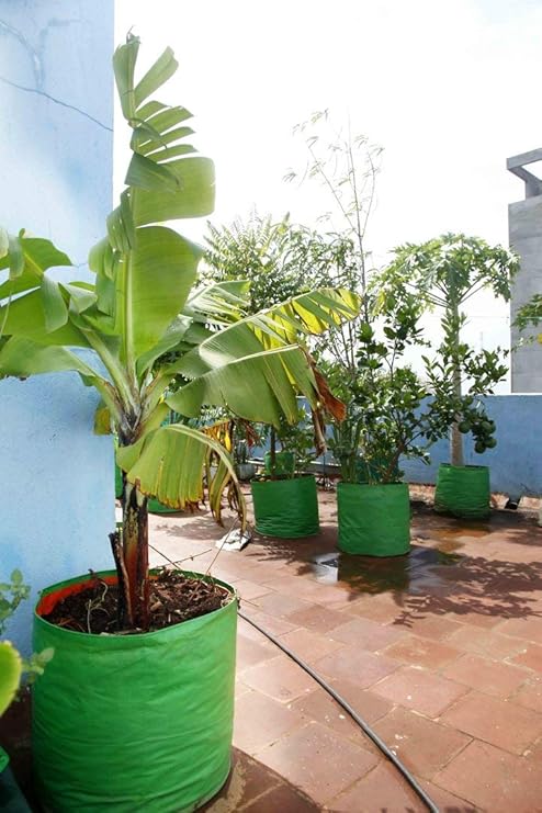 YUVAGREEN Terrace Gardening Leafy Vegetable HDPE Green Grow Bags (18"x18") - 4 pcs - Image 4