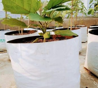 YUVAGREEN UV Treated Poly Grow Bags (White Outside, Black Inside – 20 Bags)