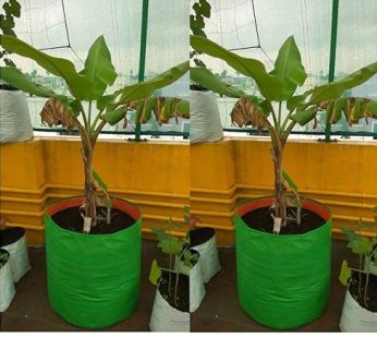 YUVAGREEN Heavy Duty Terrace Gardening Leafy Vegetable Green Grow Bag (12″ X 18″) – (Pack of 2)