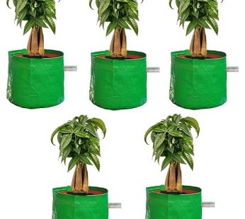 YUVAGREEN Heavy Duty Terrace Gardening Leafy Vegetable Green Grow Bag (15″ X 12″) – (Pack of 5)