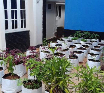 YUVAGREEN Terrace Gardening Grow Bag (28 x 28 x 50 cm) Pack of 10